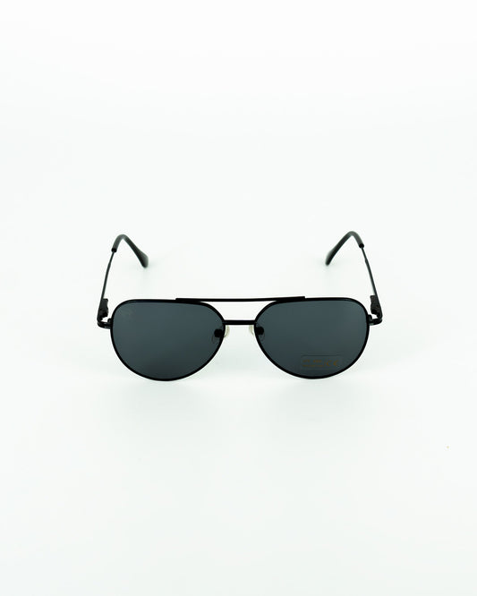 SVG Fly
