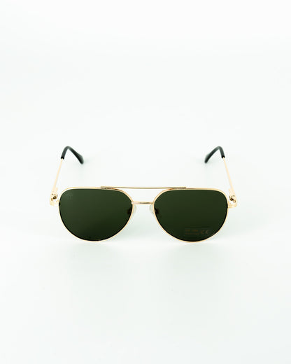 SVG Fly